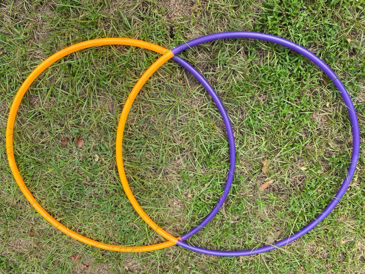 Purple Blaze 4 Piece Bare Sectional Hoop