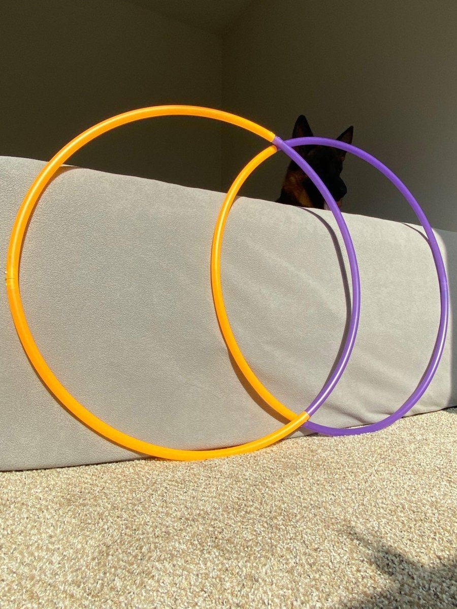 Purple Blaze 4 Piece Bare Sectional Hoop