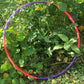 UV pink & UV Purple 4 Piece Sectional Hoop