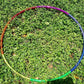 Rainbow Spectrum Taped Hoop